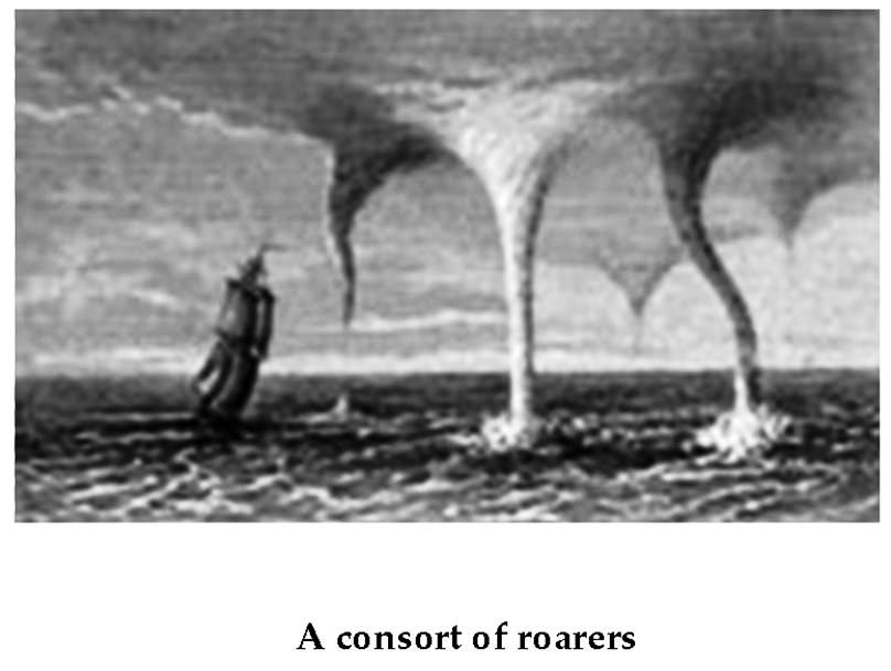 Slide 19 — Australian turndun and tornado consorts
