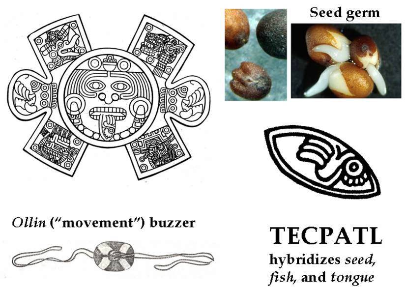 Slide 23 — Aztec Tecpatl obsidian knife and Ollin buzzer