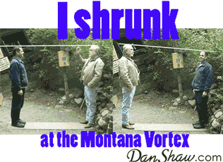 Shrink and grow phenomenon at a vortex