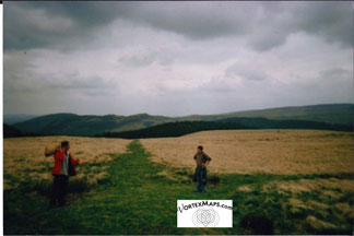 Wales ley
