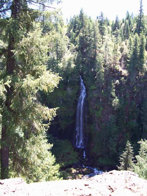 Waterfall in the Umpqua Valley